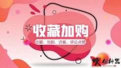 什么是加购?加购是什么意